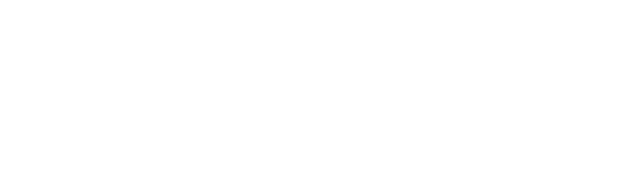 rubrik